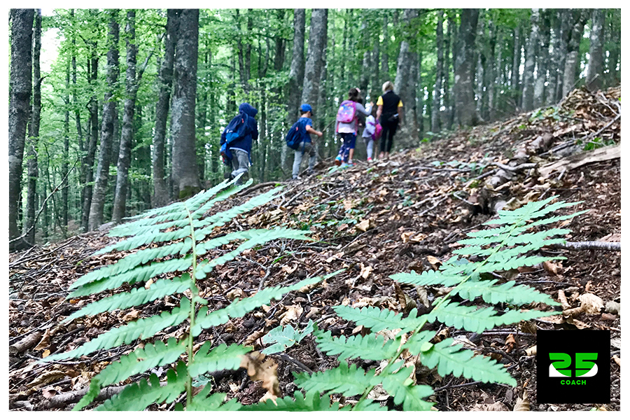alla-scoperta-del-bosco-delle-felci-al-terminillo